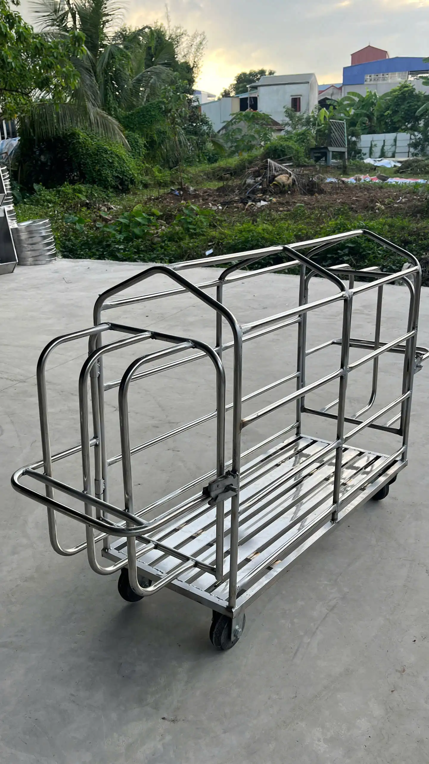 LỒNG BẮT HEO